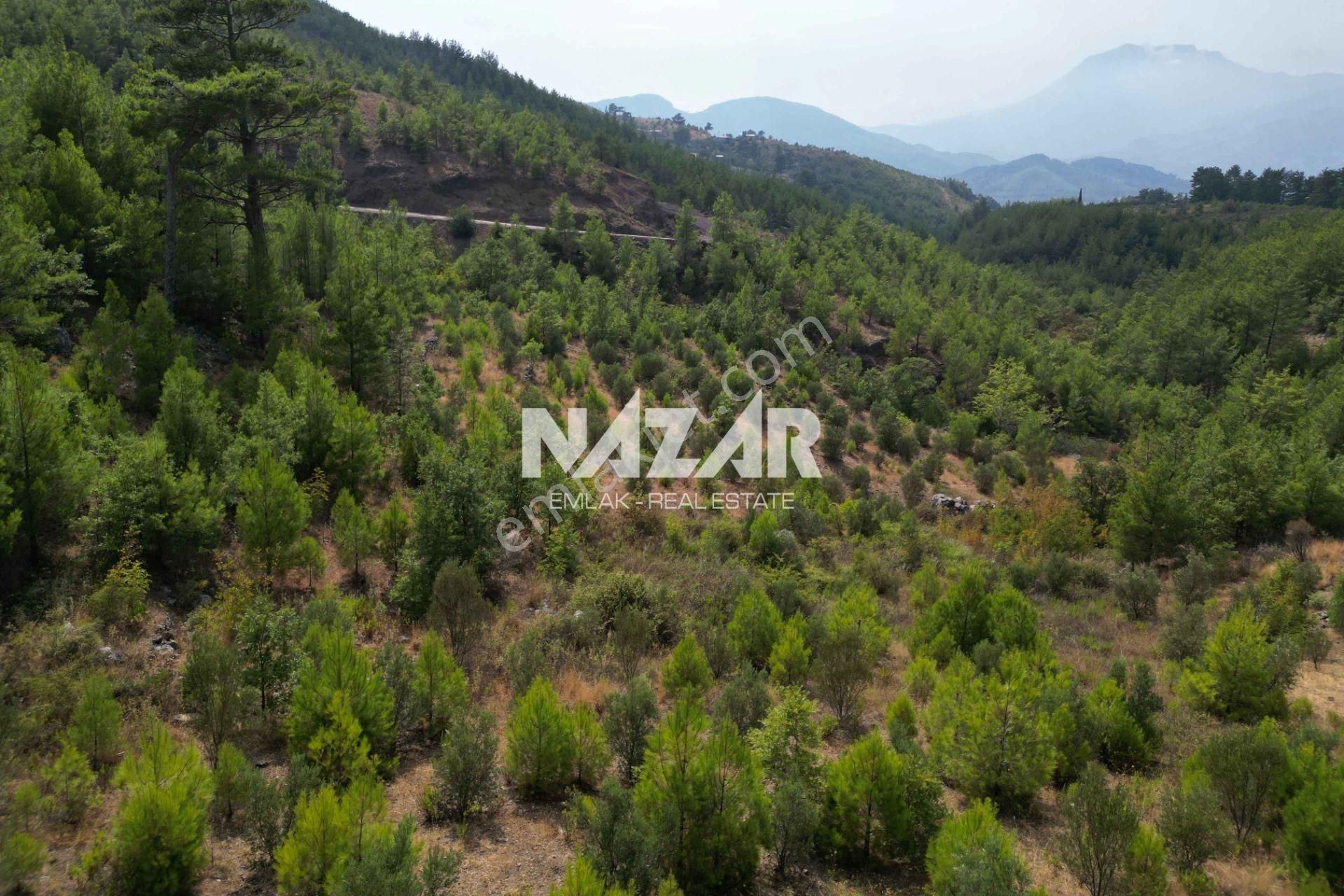 Alanya Beldibi'nde 4.978 M² Satılık Tarla - Görsel 6