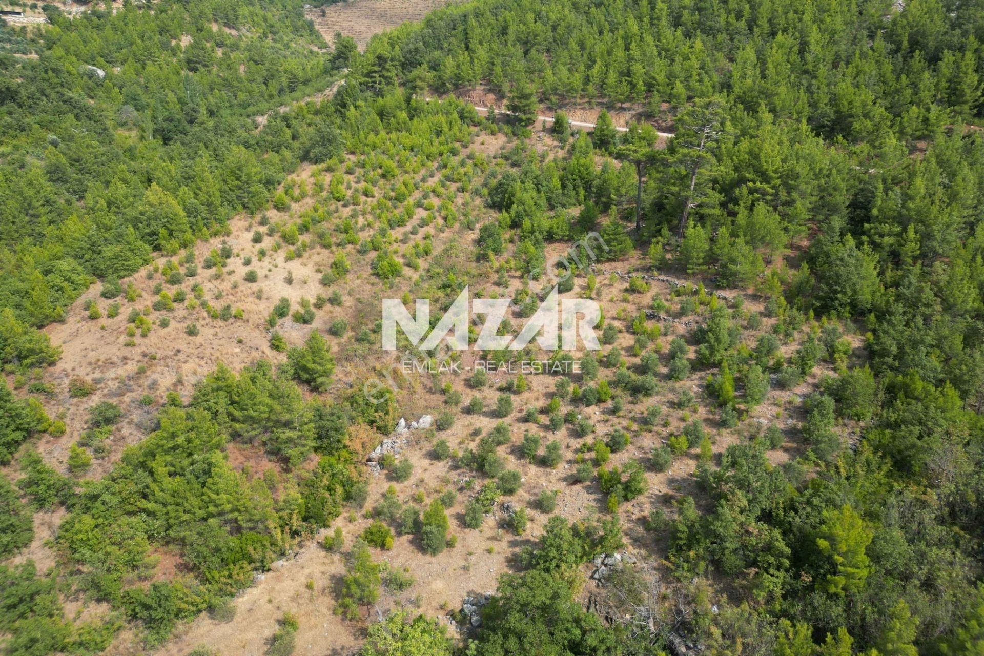 Alanya Beldibi'nde 4.978 M² Satılık Tarla - Görsel 7