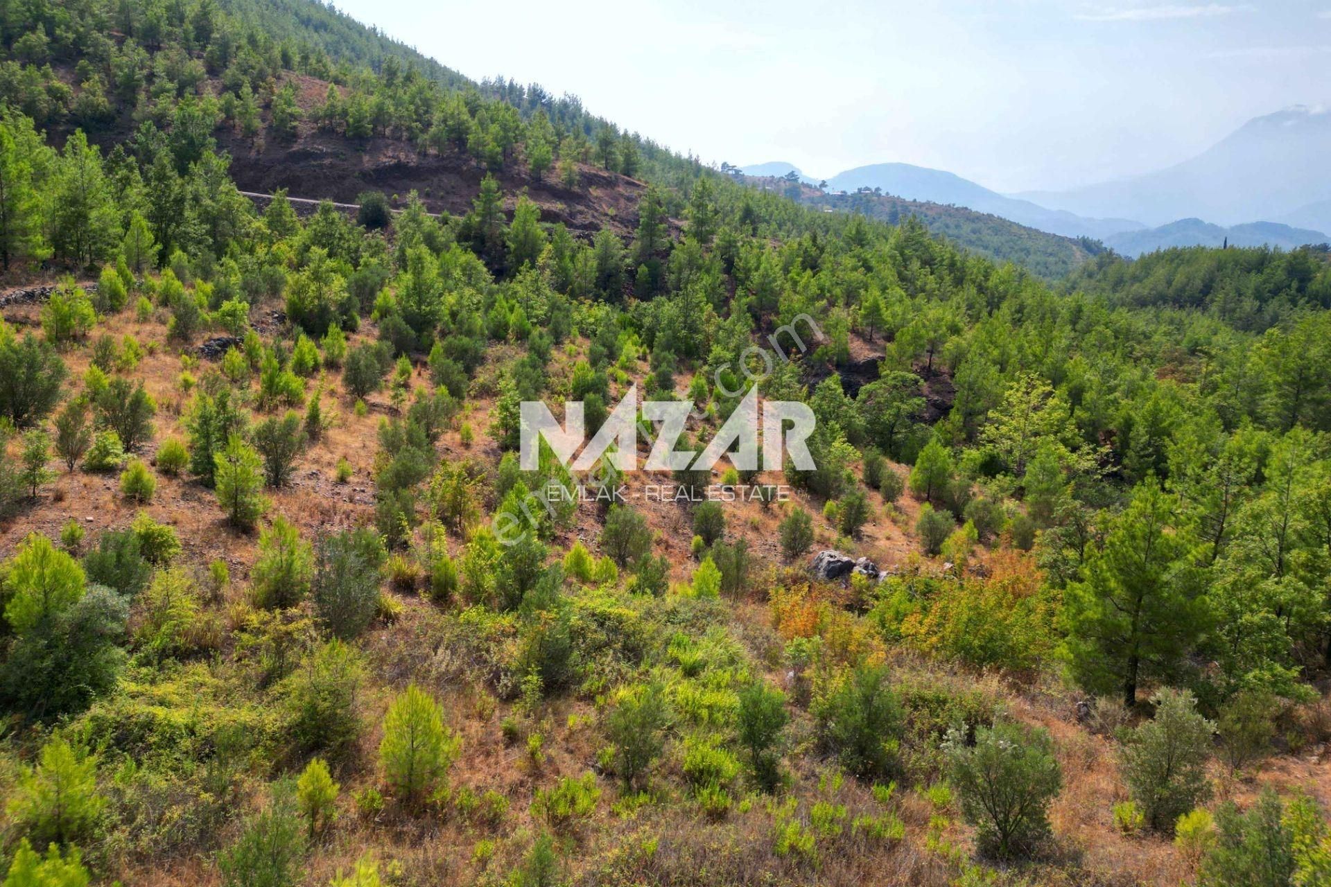 Alanya Beldibi'nde 4.978 M² Satılık Tarla - Görsel 15