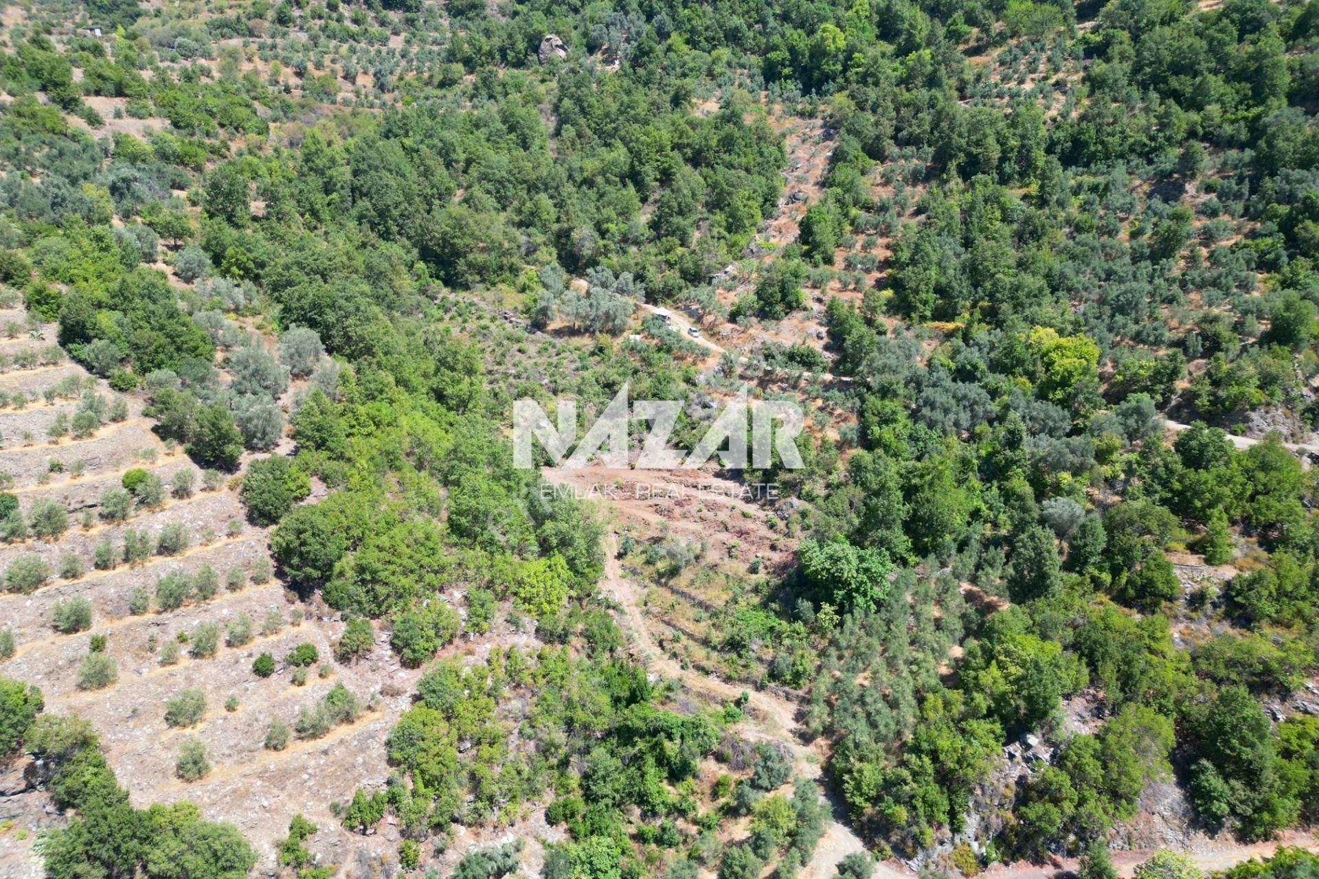 Alanya Mahmutseydi'de 5.138 M² Satılık Tarla - Görsel 7