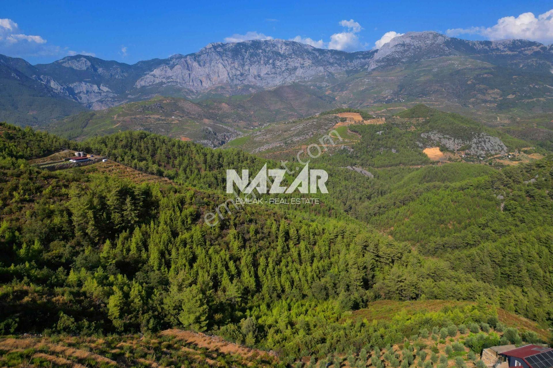 Alanya Çamlıca’da 11.999 M² Satılık Tarla - Görsel 11