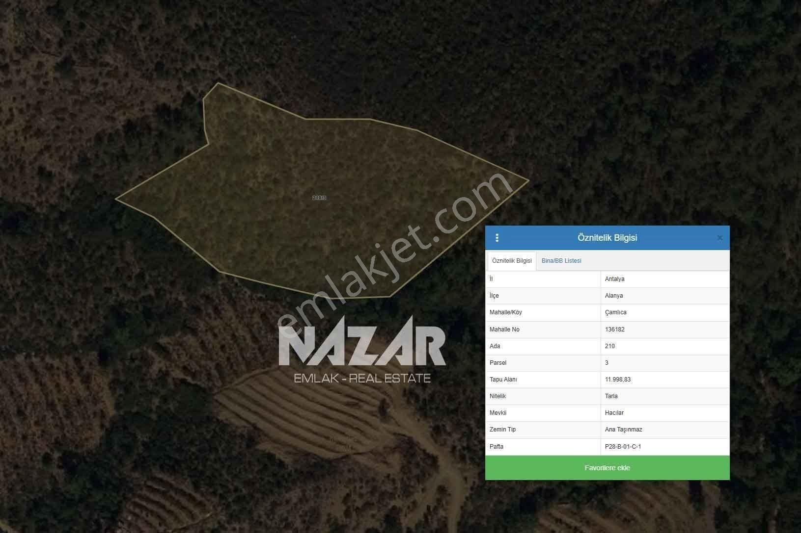 Alanya Çamlıca’da 11.999 M² Satılık Tarla - Görsel 4