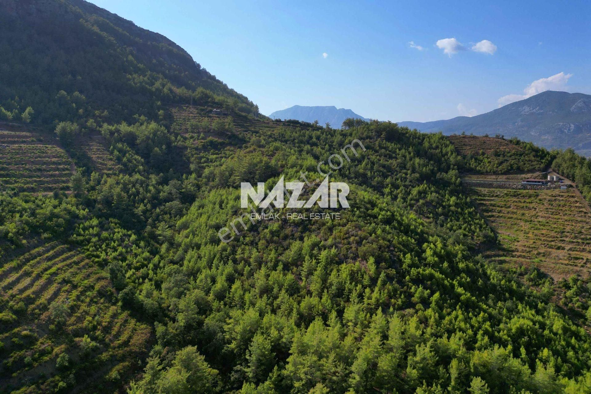 Alanya Çamlıca’da 11.999 M² Satılık Tarla - Görsel 7