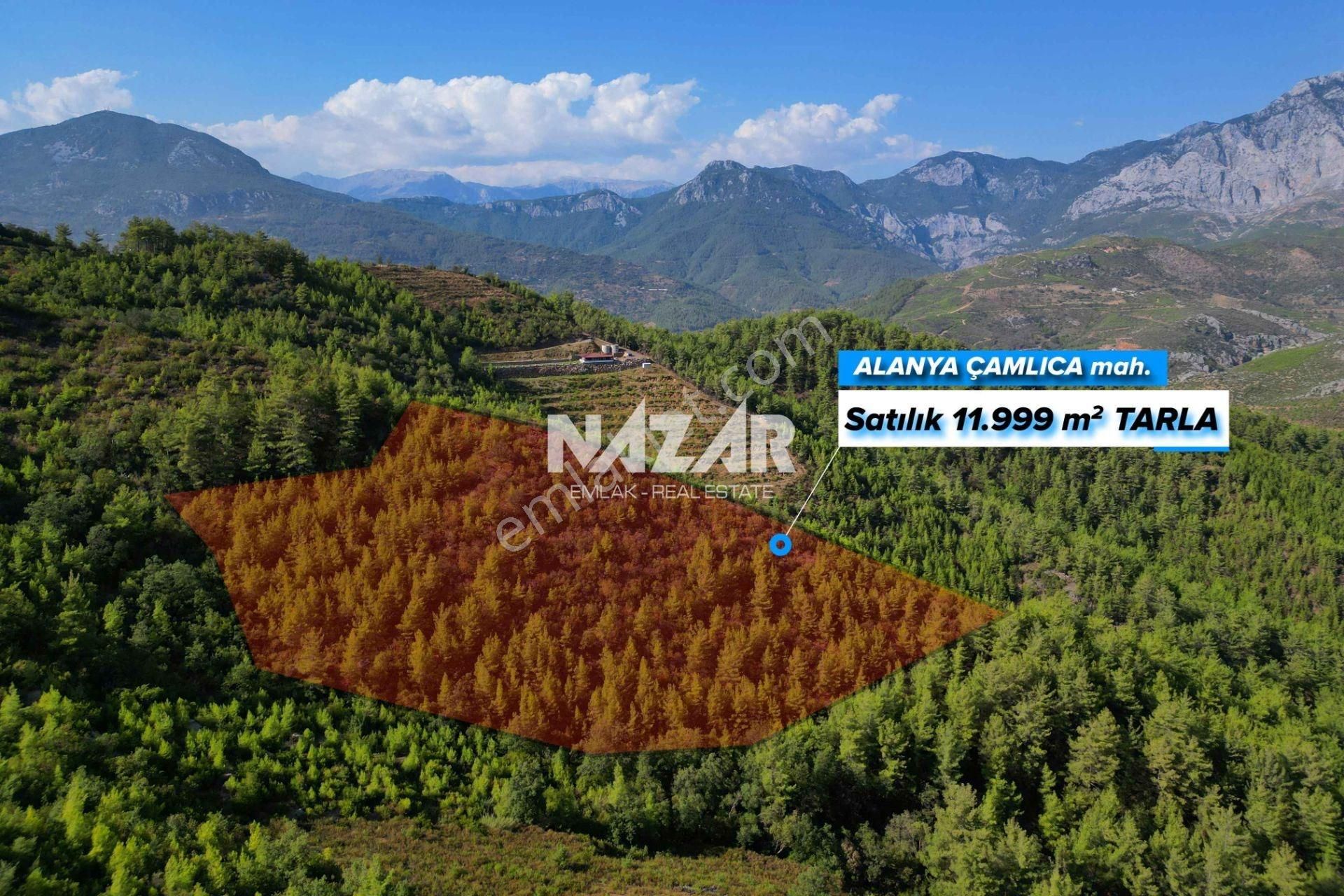 Alanya Çamlıca’da 11.999 M² Satılık Tarla - Görsel 2