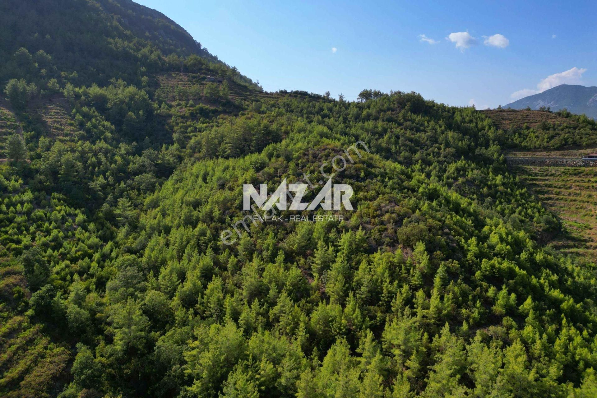 Alanya Çamlıca’da 11.999 M² Satılık Tarla - Görsel 6