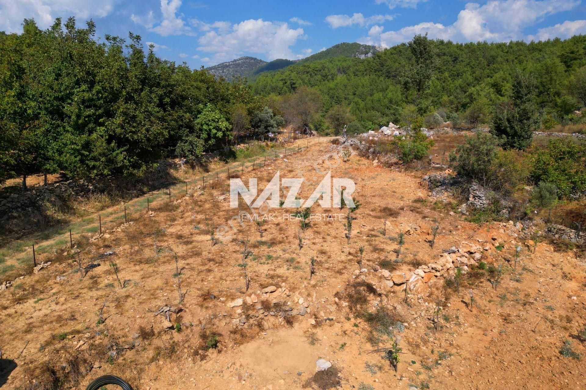 Alanya Gümüşgöze’de Satılık 7.241 M² Tarla / Bahçe - Görsel 7