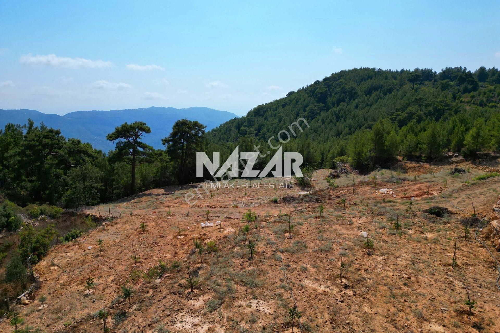 Alanya Gümüşgöze’de Satılık 7.241 M² Tarla / Bahçe - Görsel 8