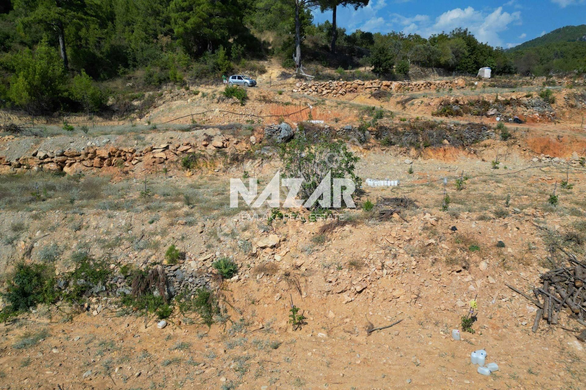 Alanya Gümüşgöze’de Satılık 7.241 M² Tarla / Bahçe - Görsel 13