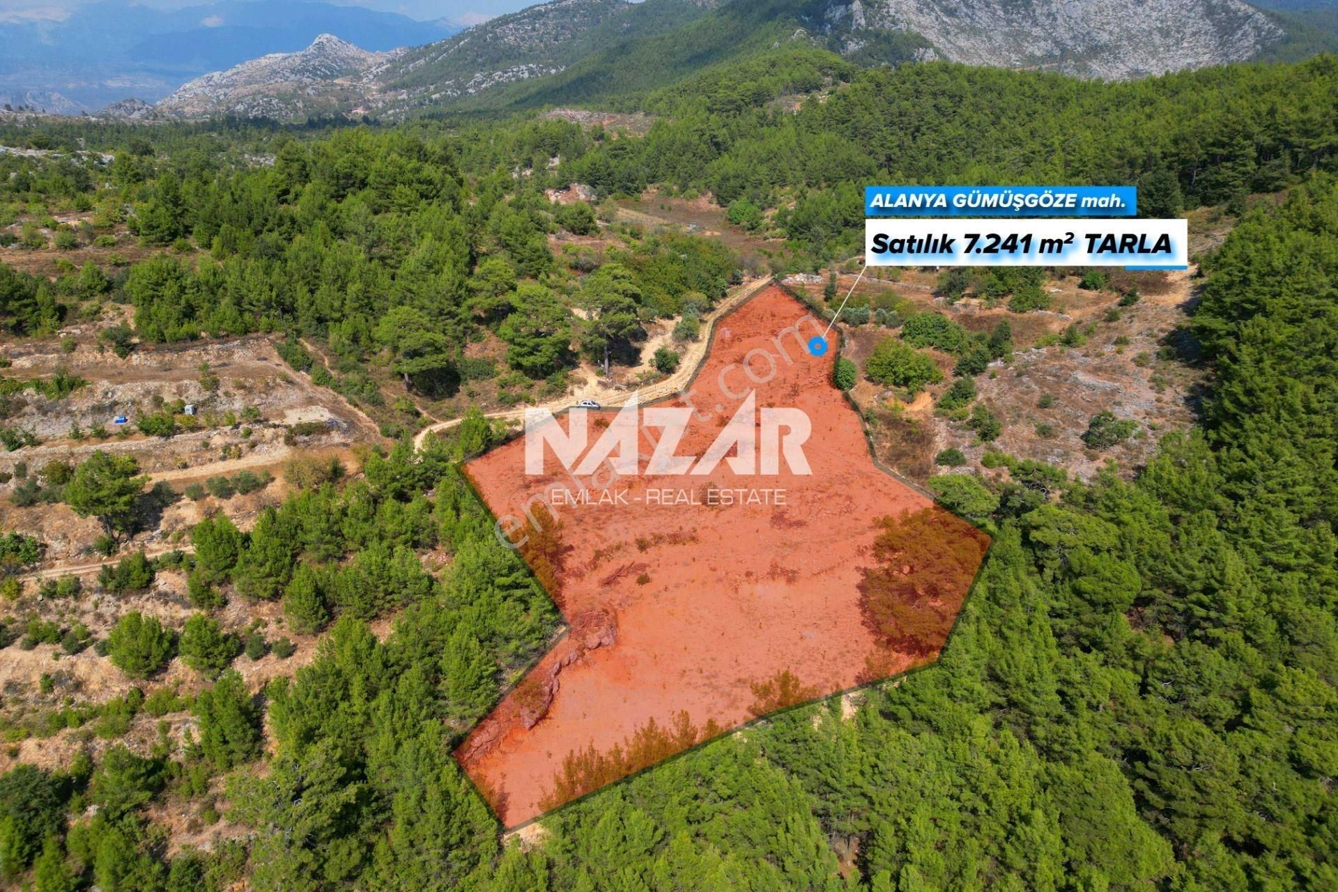Alanya Gümüşgöze’de Satılık 7.241 M² Tarla / Bahçe - Görsel 2