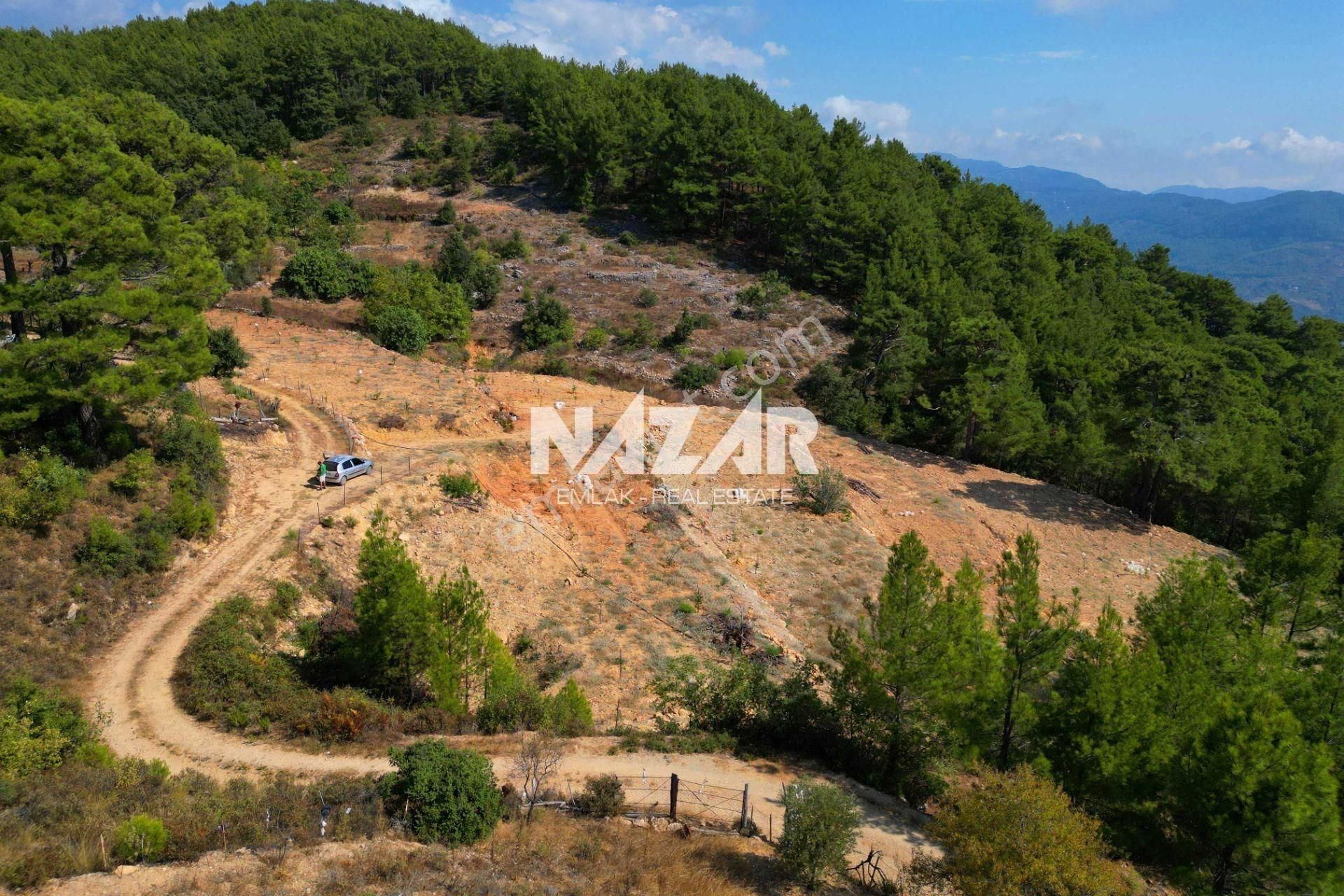 Alanya Gümüşgöze’de Satılık 7.241 M² Tarla / Bahçe - Görsel 17