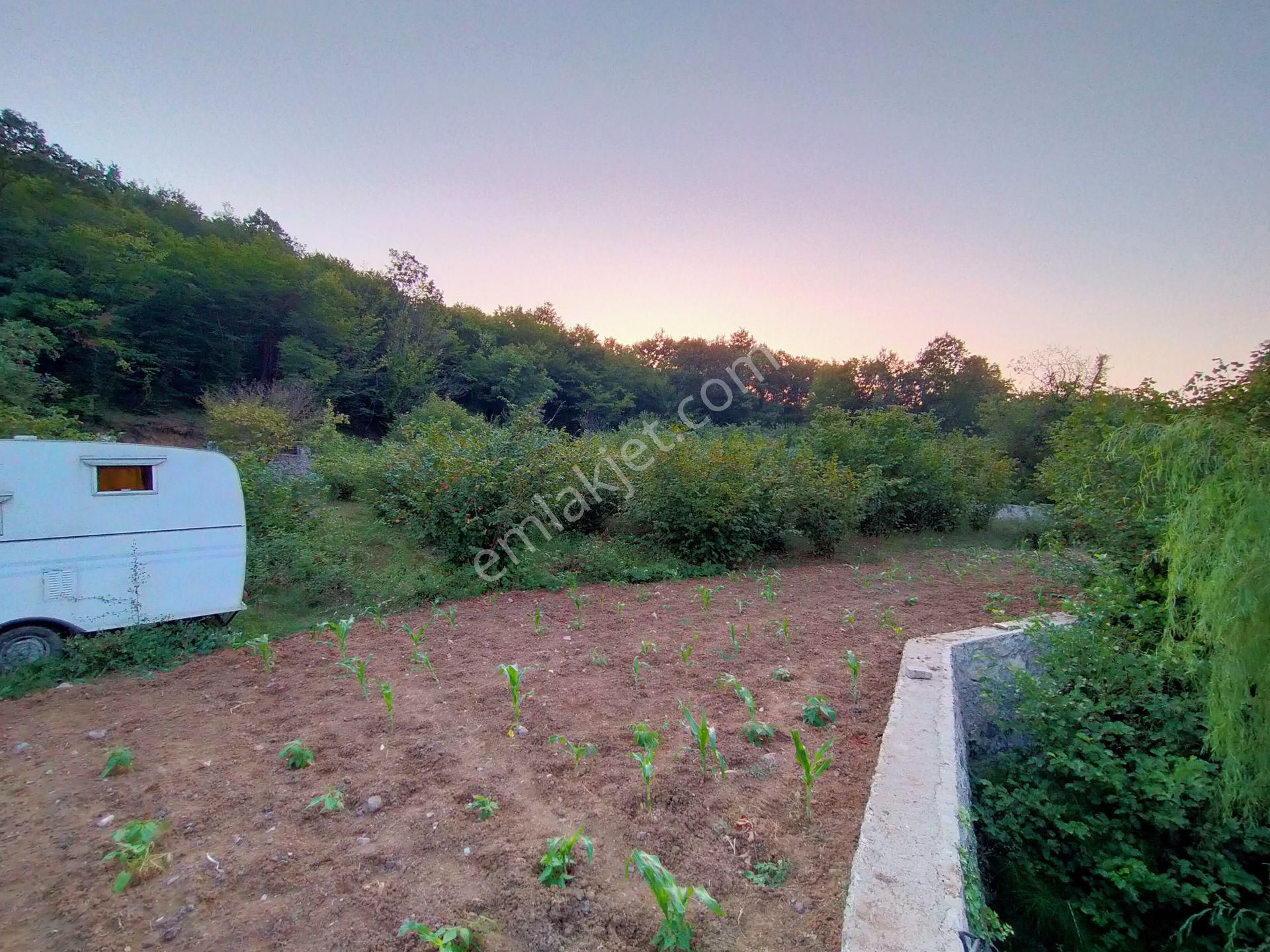 Şile Kabakozda 2.5 Dönüm Arazi - Görsel 11