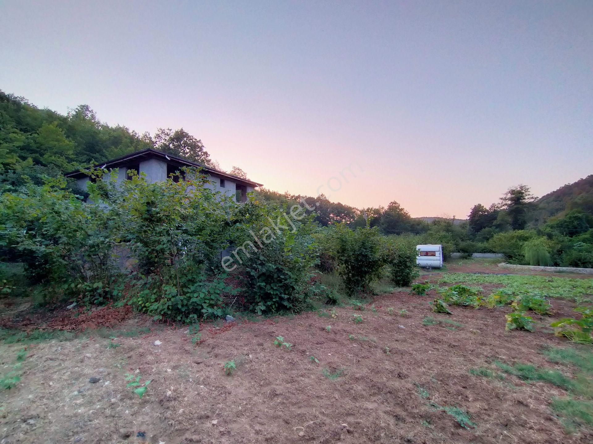 Şile Kabakozda 2.5 Dönüm Arazi - Görsel 3