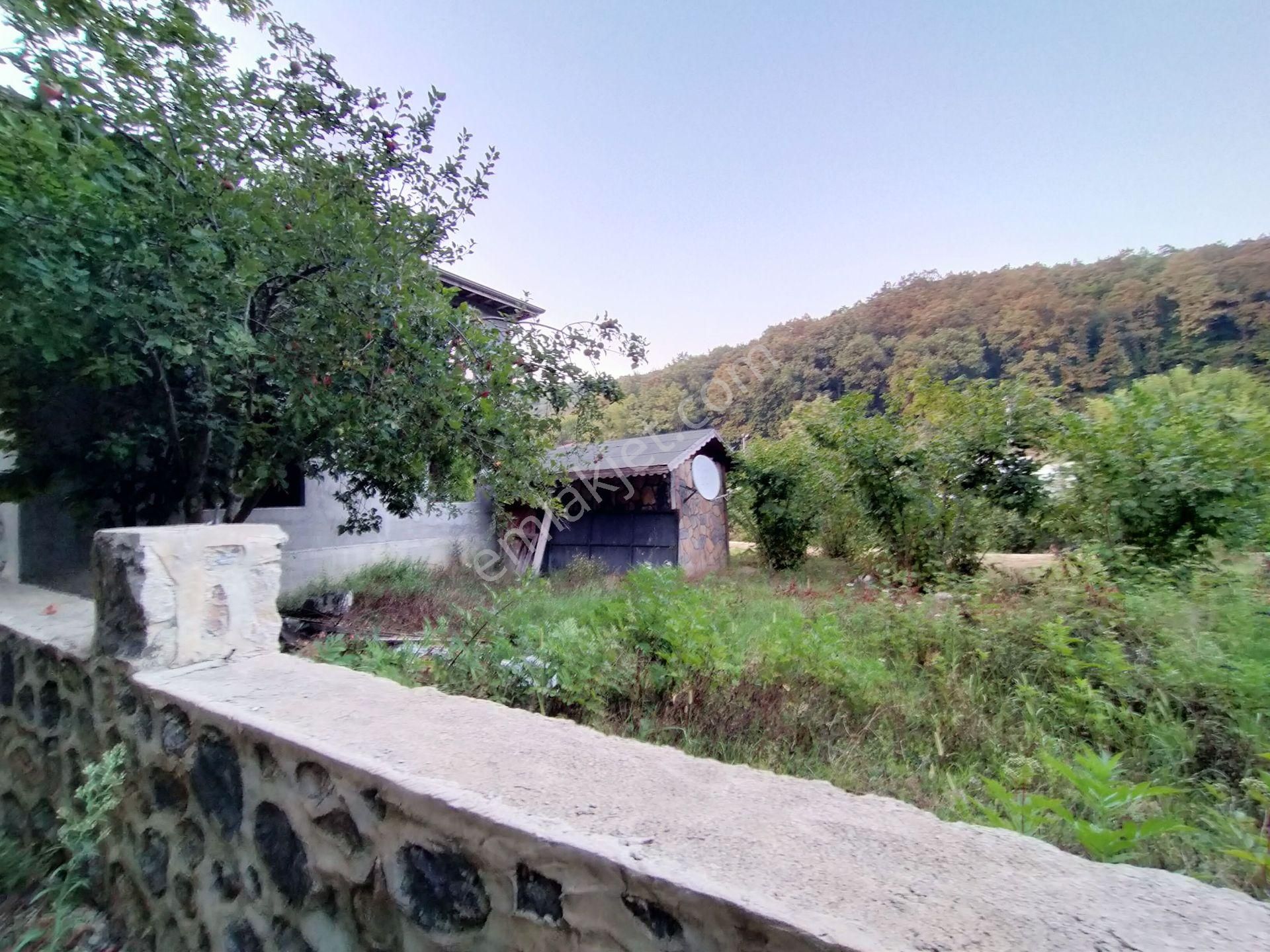 Şile Kabakozda 2.5 Dönüm Arazi - Görsel 23