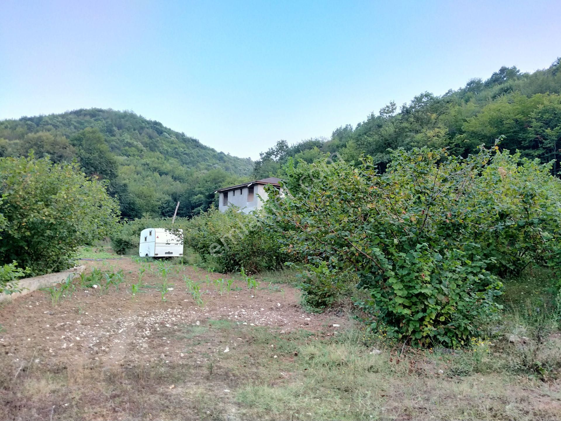 Şile Kabakozda 2.5 Dönüm Arazi - Görsel 32