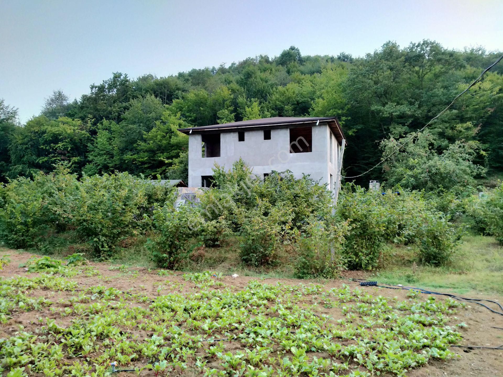 Şile Kabakozda 2.5 Dönüm Arazi - Görsel 14