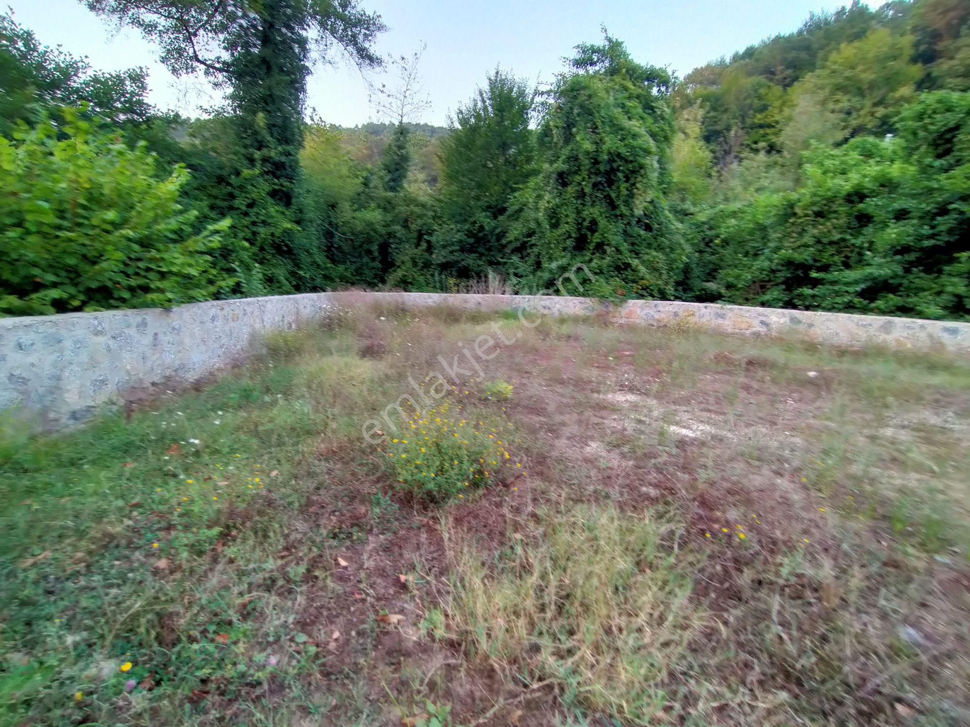 Şile Kabakozda 2.5 Dönüm Arazi - Görsel 29