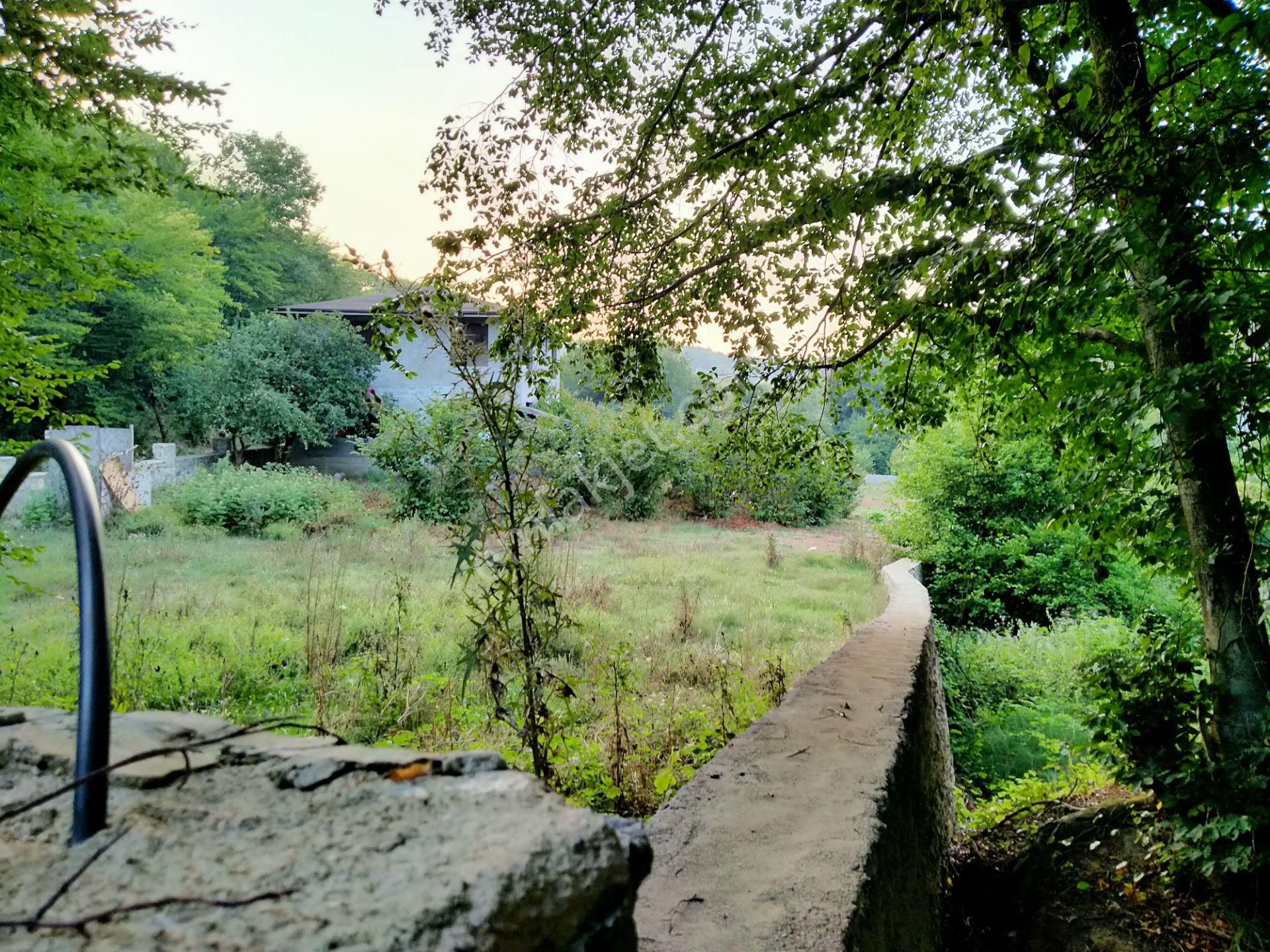 Şile Kabakozda 2.5 Dönüm Arazi - Görsel 9