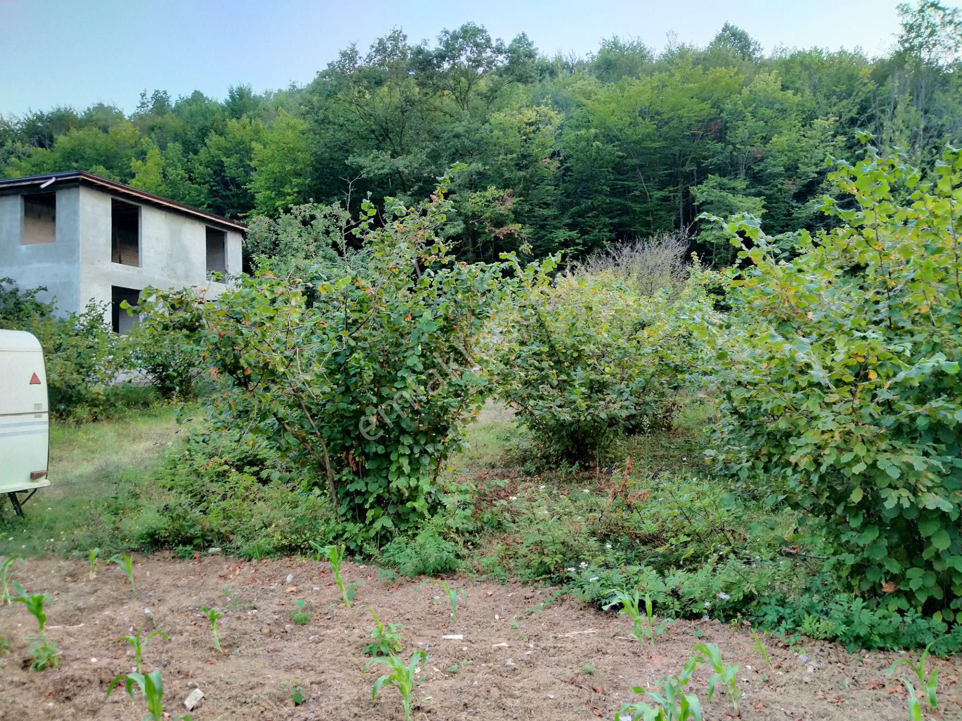 Şile Kabakozda 2.5 Dönüm Arazi - Görsel 18