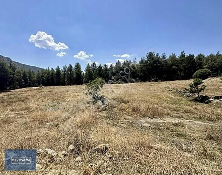 Seydiköyde Satılık Manzaralı Havadar Anayola Yakın 2750 M2 Tarla - Görsel 2