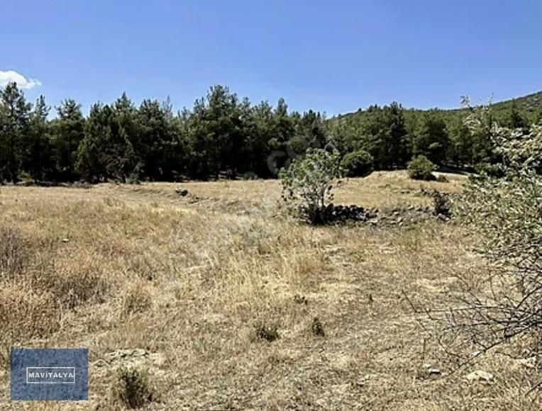 Seydiköyde Satılık Manzaralı Havadar Anayola Yakın 2750 M2 Tarla - Görsel 4
