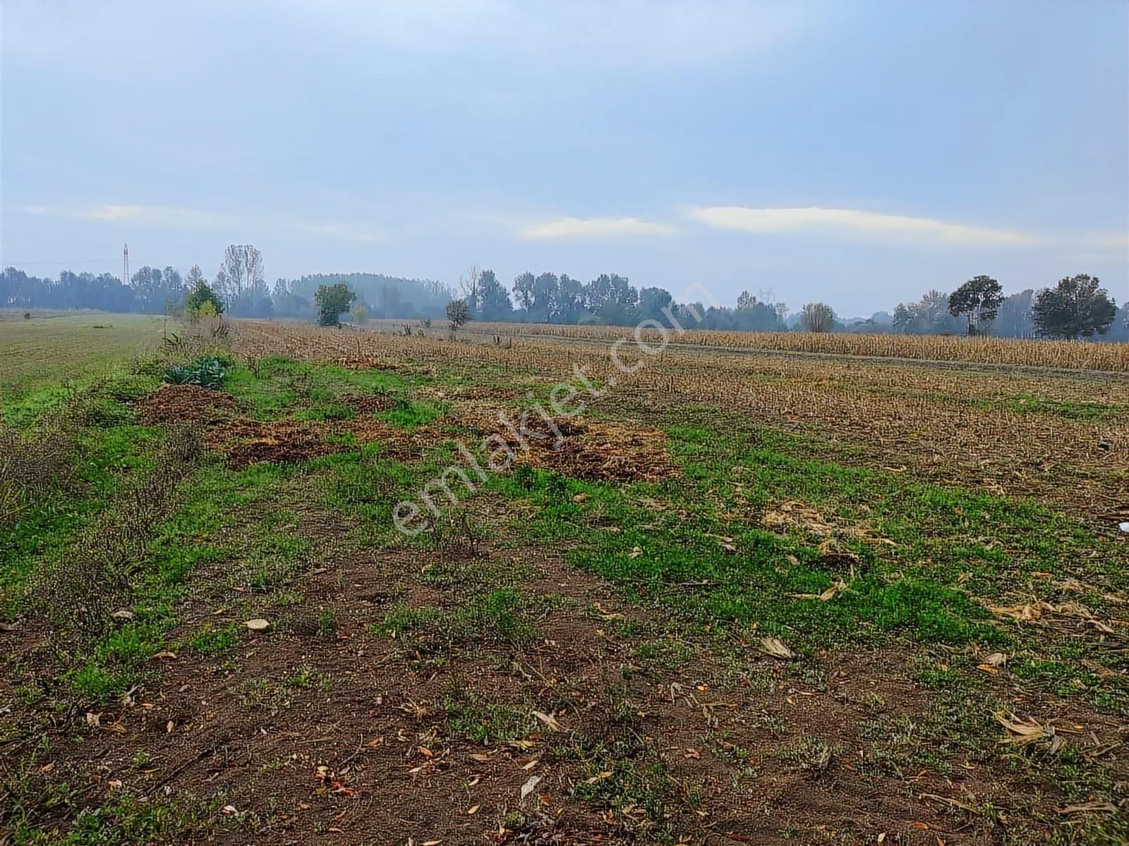 Yılmaz Mega'dan 7 Dönüm Tarla Mükemmel Konum Harika Fiyat - Görsel 3