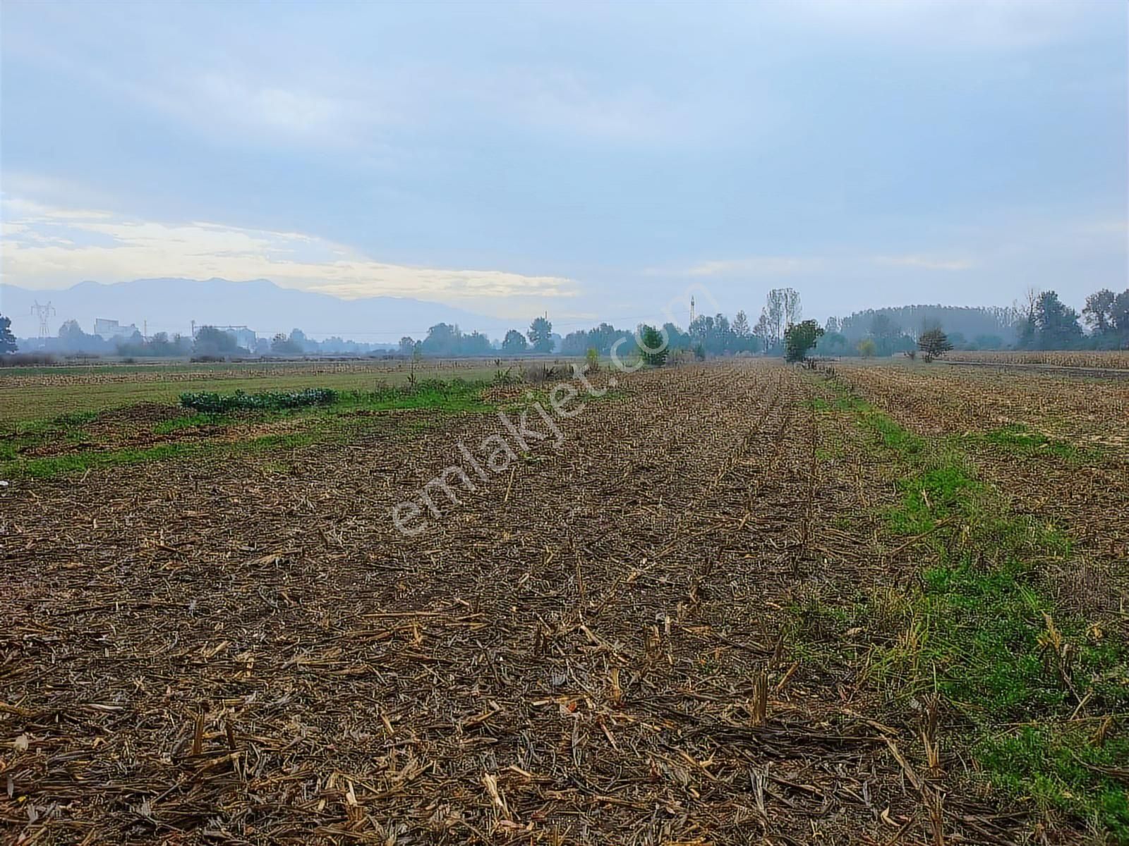 Yılmaz Mega'dan 7 Dönüm Tarla Mükemmel Konum Harika Fiyat - Görsel 8