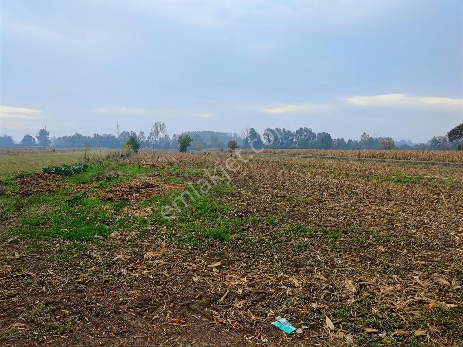 Yılmaz Mega'dan 7 Dönüm Tarla Mükemmel Konum Harika Fiyat - Görsel 14