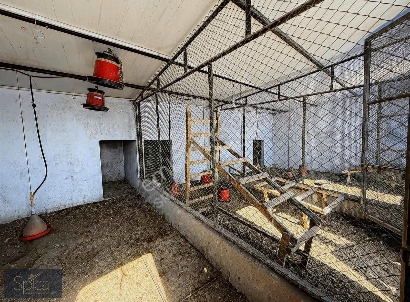 Foça Gerenköy'de 5.522 M2 İçinde 5+2 Satılık Lüks Villa - Görsel 35