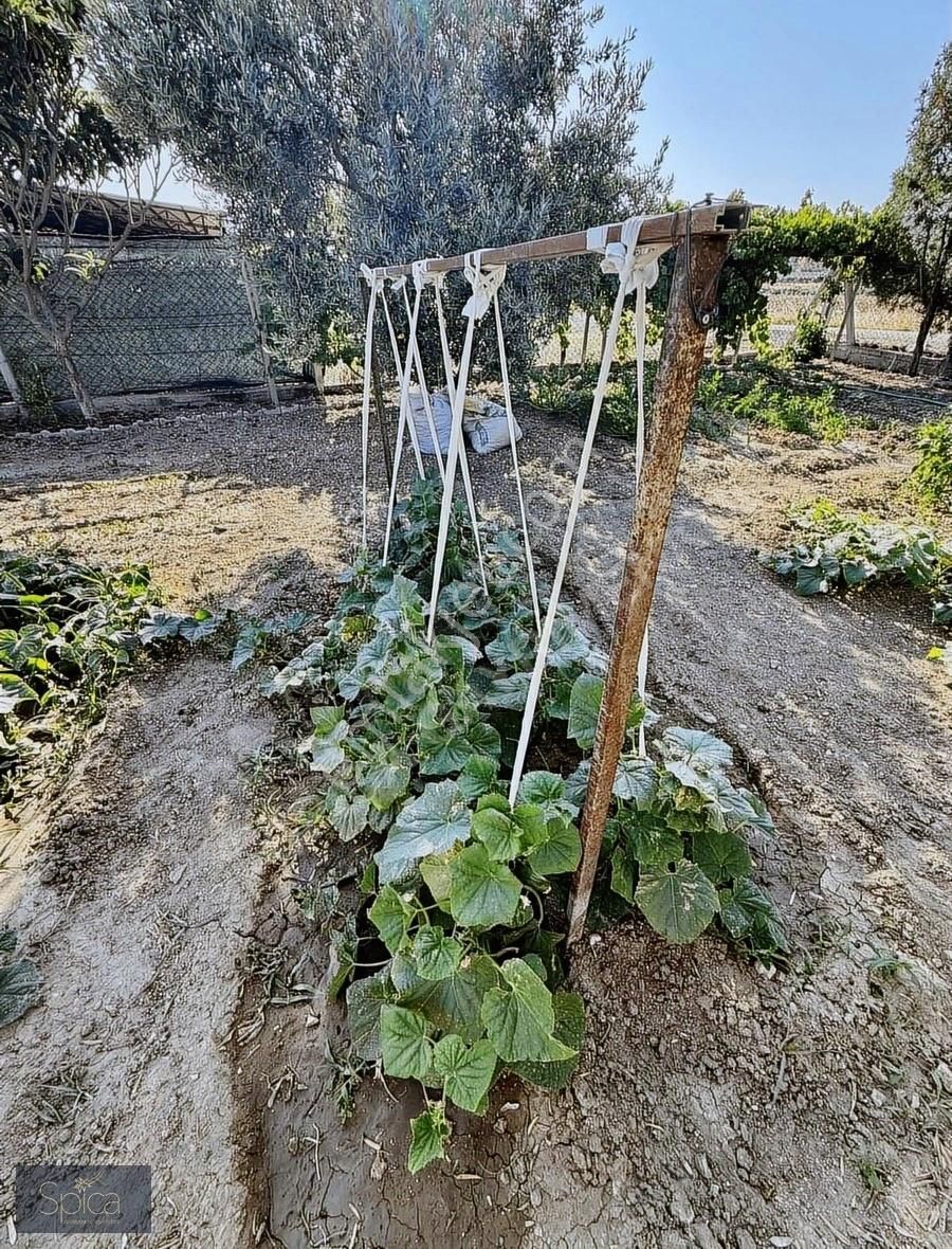 Foça Gerenköy'de 5.522 M2 İçinde 5+2 Satılık Lüks Villa - Görsel 25