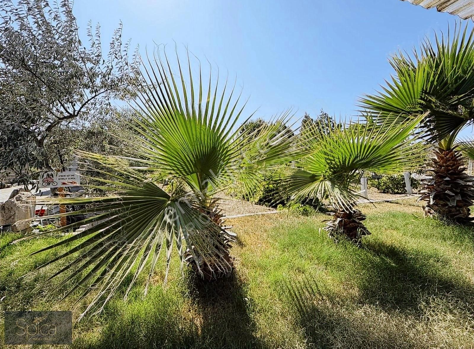 Foça Gerenköy'de 5.522 M2 İçinde 5+2 Satılık Lüks Villa - Görsel 21