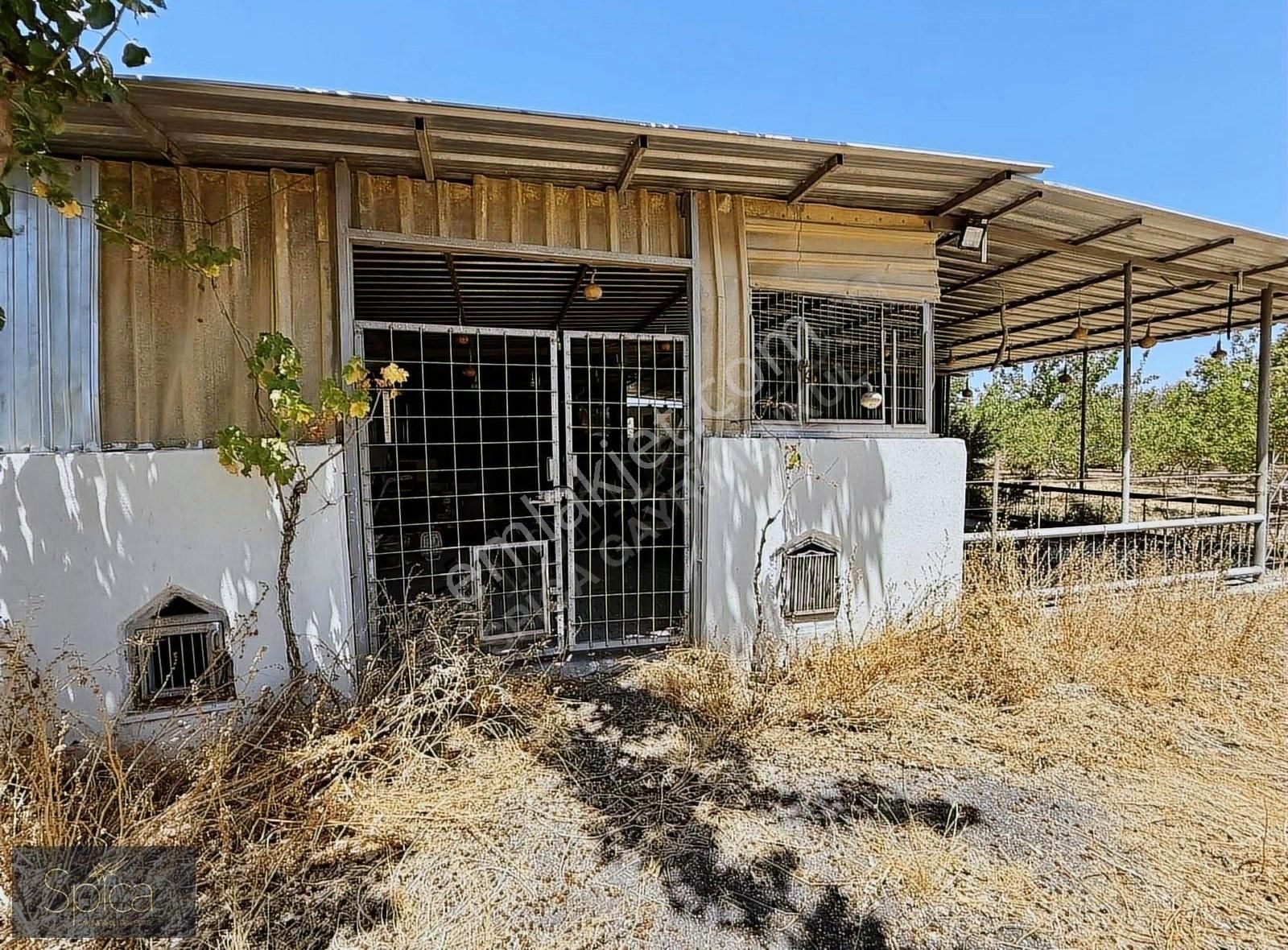 Foça Gerenköy 10.000 M2 Organik Tarım Ve Müstakil Villa Satılık - Görsel 13