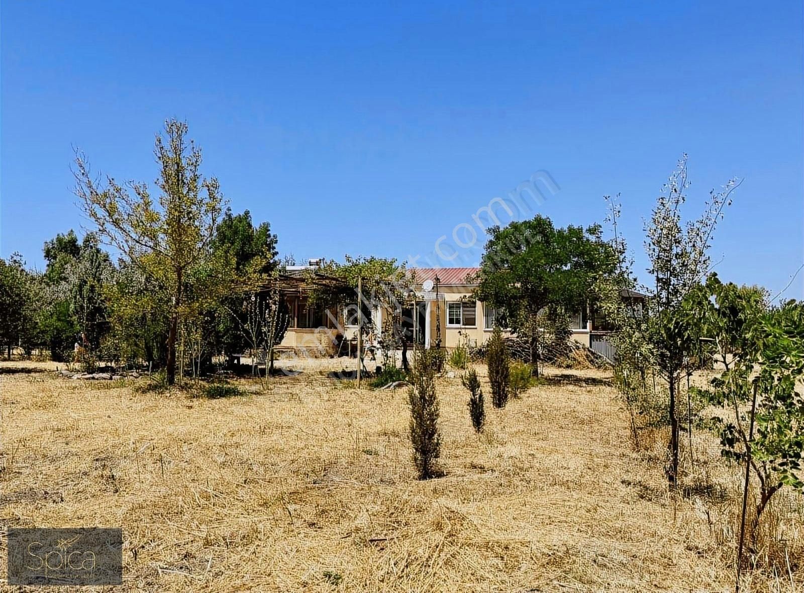 Foça Gerenköy 10.000 M2 Organik Tarım Ve Müstakil Villa Satılık - Görsel 26