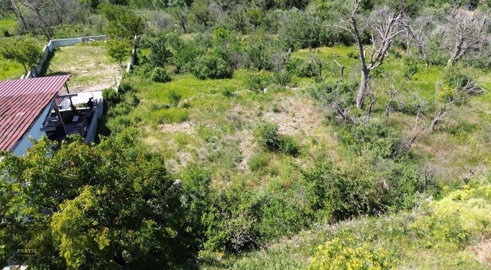 Pratik Den// Ağırnas Koramaz Vadisinde Asfalt Yolun Köşesi Bahçe - Görsel 15