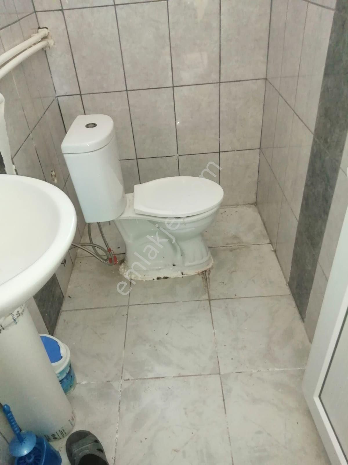 Kaçmaz Emlaktan Yeşilhisar Başköy De Satılık Elma Bahçesi Açıklamaya Bak - Görsel 8