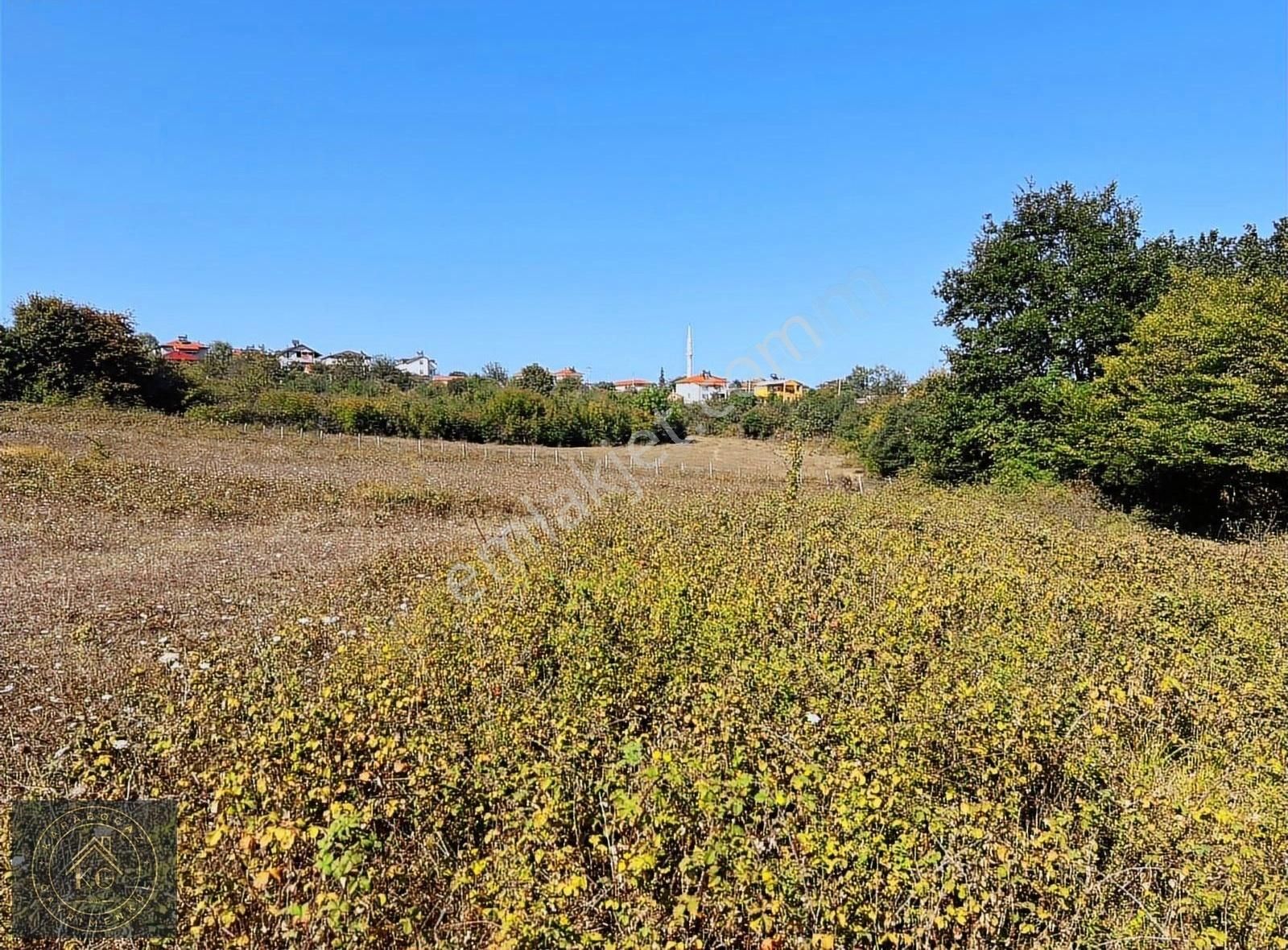 Satılık 10.977 M² Tarla Kandıra Çamkonak Köy İçi - Görsel 2