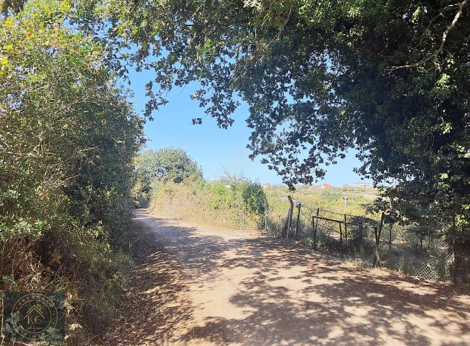 Satılık 10.977 M² Tarla Kandıra Çamkonak Köy İçi