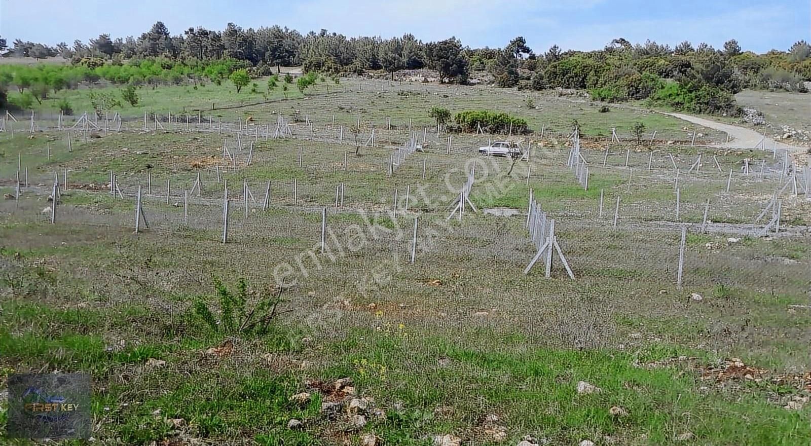 Kemalpaşa Damlacık'ta Harika Konumda Satılık Arsa - Görsel 5