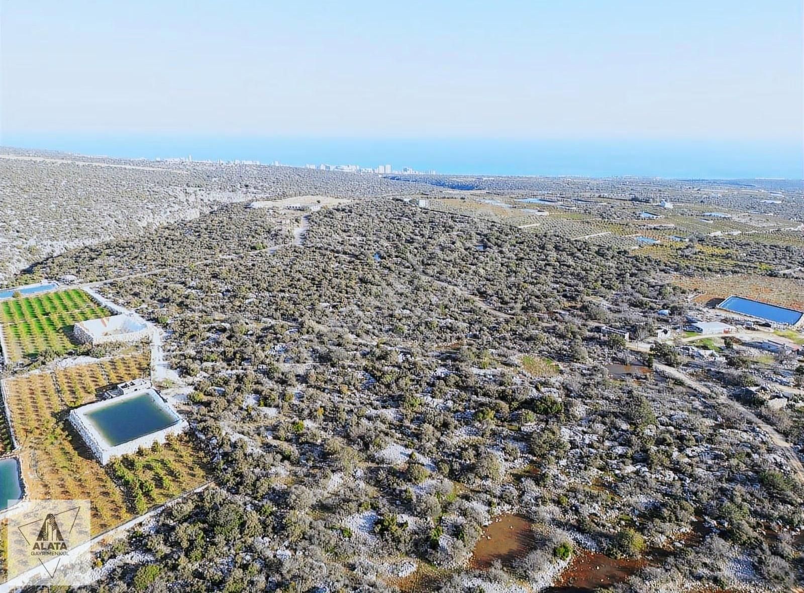 Mersin Ayaş Kızılbağ Da Satılık Tarla