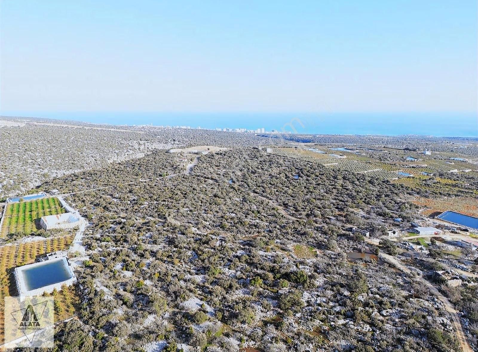 Mersin Ayaş Kızılbağ Da Satılık Tarla - Görsel 3