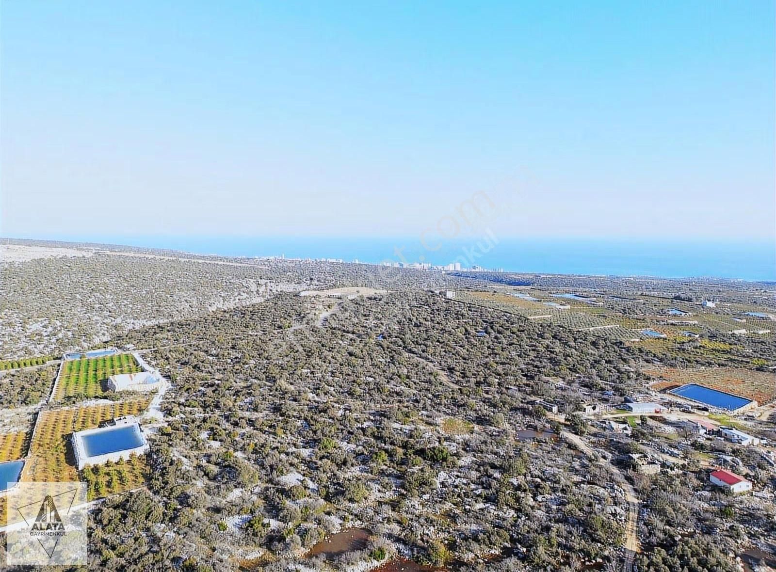 Mersin Ayaş Kızılbağ Da Satılık Tarla - Görsel 2