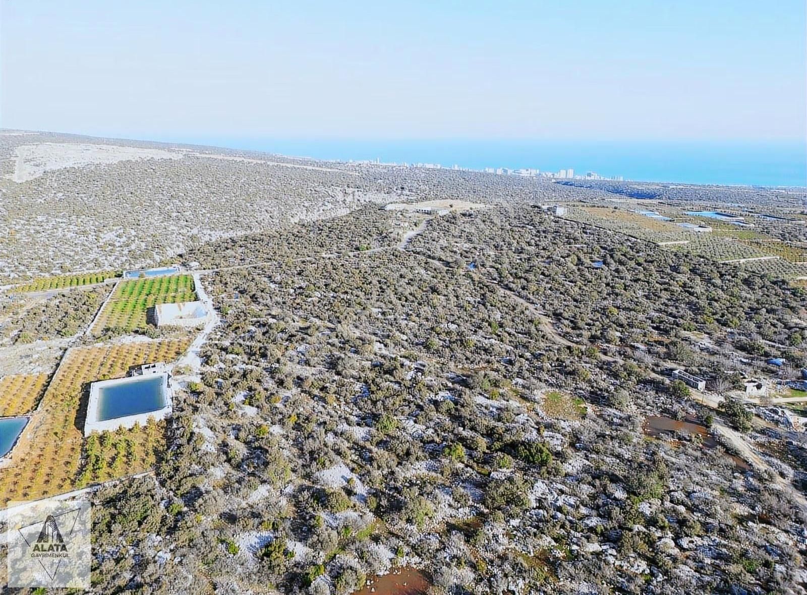 Mersin Ayaş Kızılbağ Da Satılık Tarla - Görsel 6