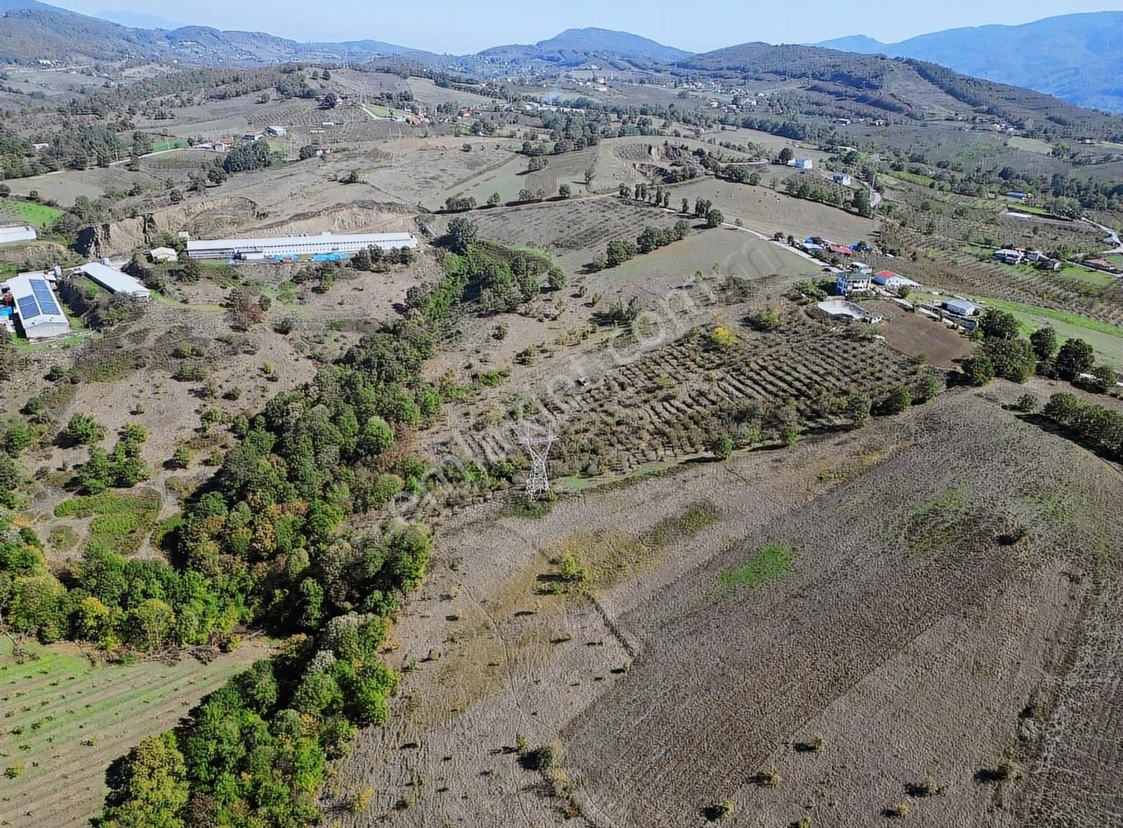 Mükemmel Konumda Satılık Yerler( Açıklamaya Dikkat) - Görsel 8