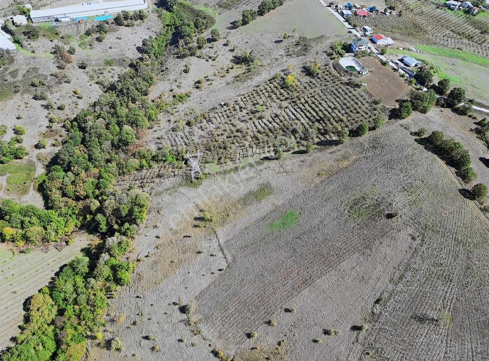 Mükemmel Konumda Satılık Yerler( Açıklamaya Dikkat) - Görsel 5