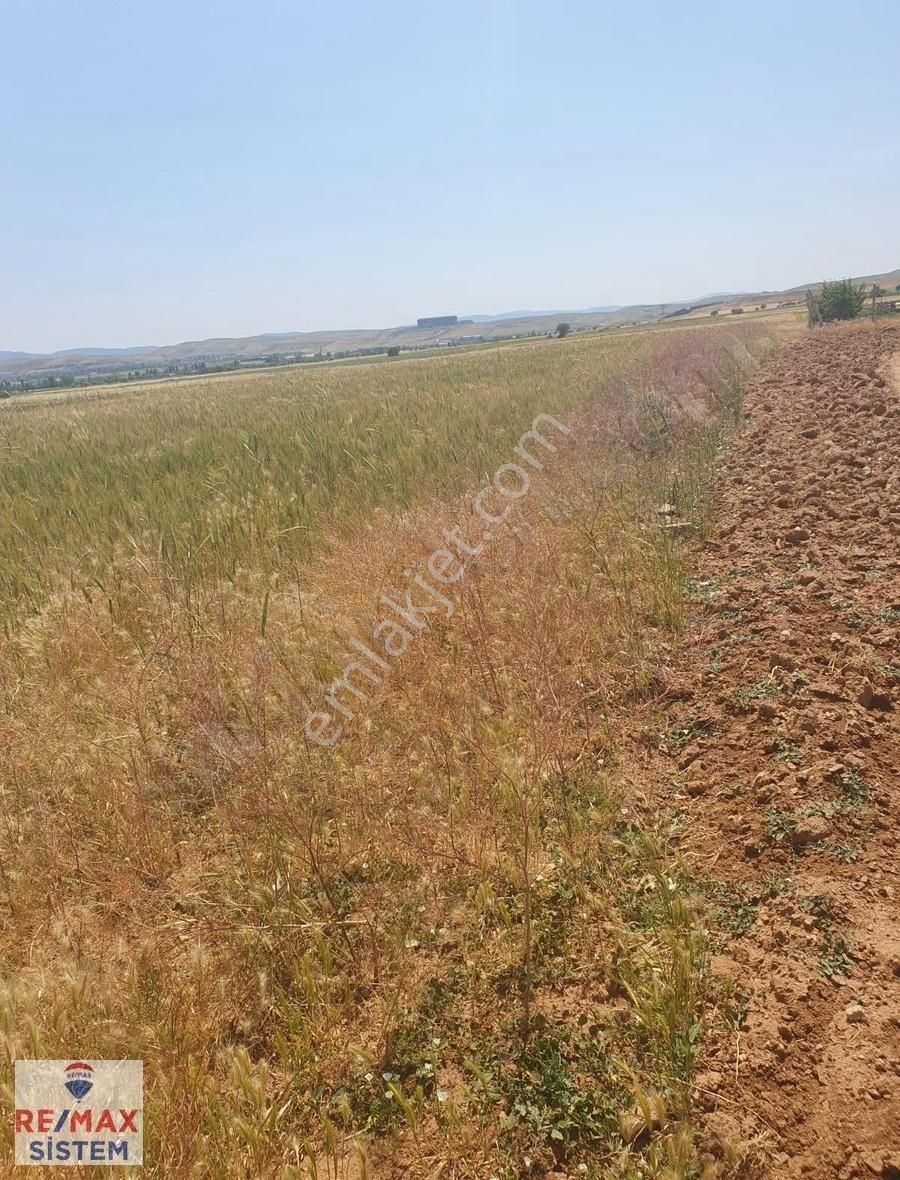 Saraydüzü Merkezde Ana Yola Yakın Satılık Tarla