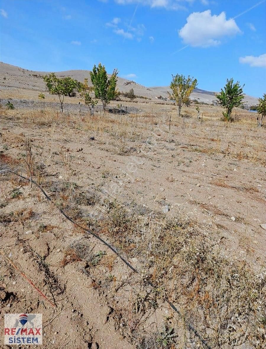 Şuhut Ağzıkara Köyü Yola Sıfır 7160 M2 Tarla - Görsel 4