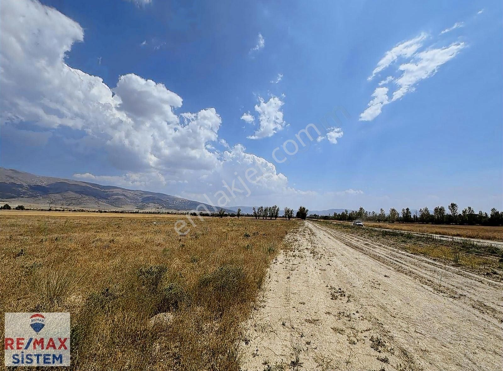 Çay Akkonak Anayola 600 Metre Mesafede 19.181 M2 Satılık Tarla - Görsel 4