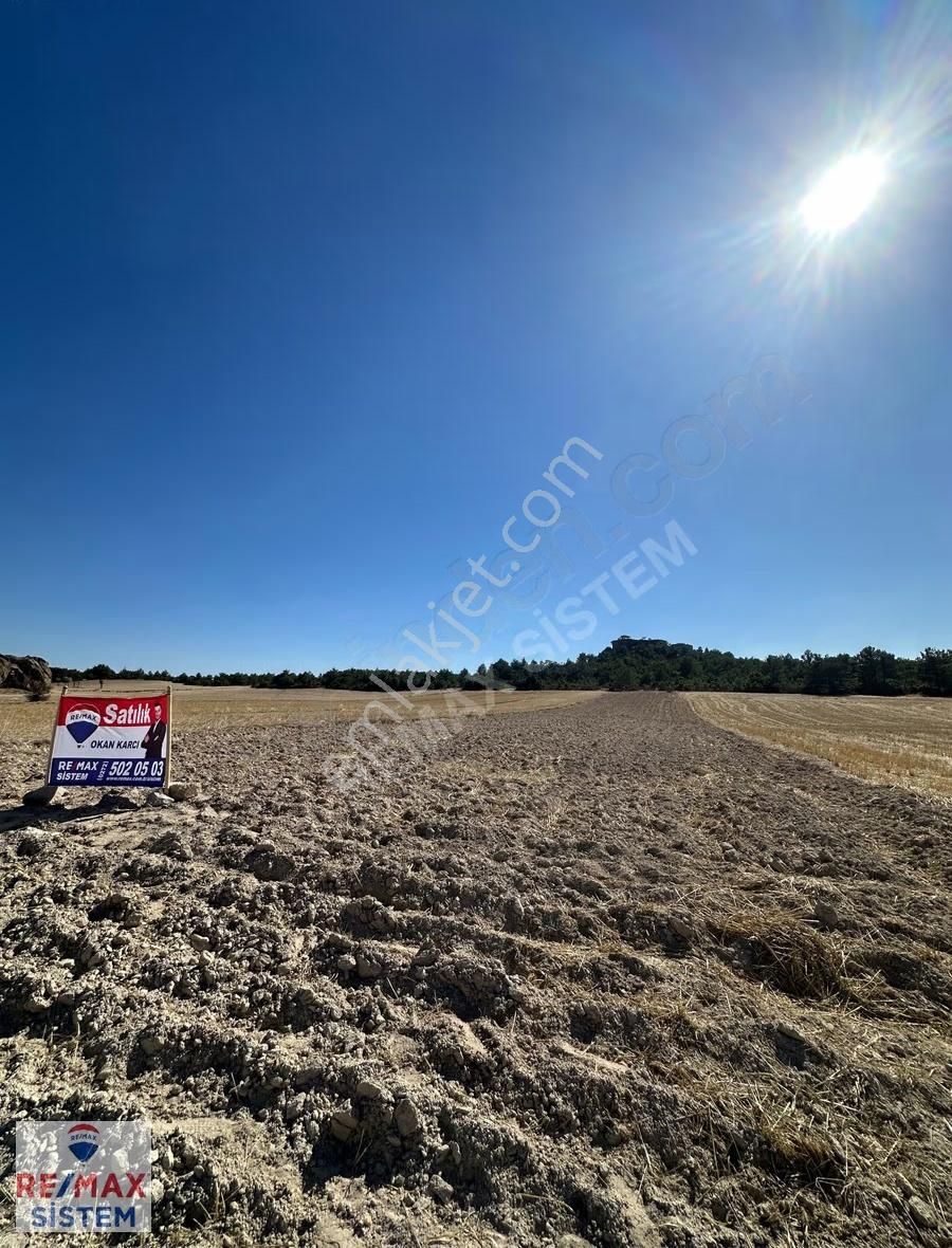 Frig Vadisi-emre Gölü-ana Cadde Döğer'de 3.100 M² Satılık Tarla - Görsel 2