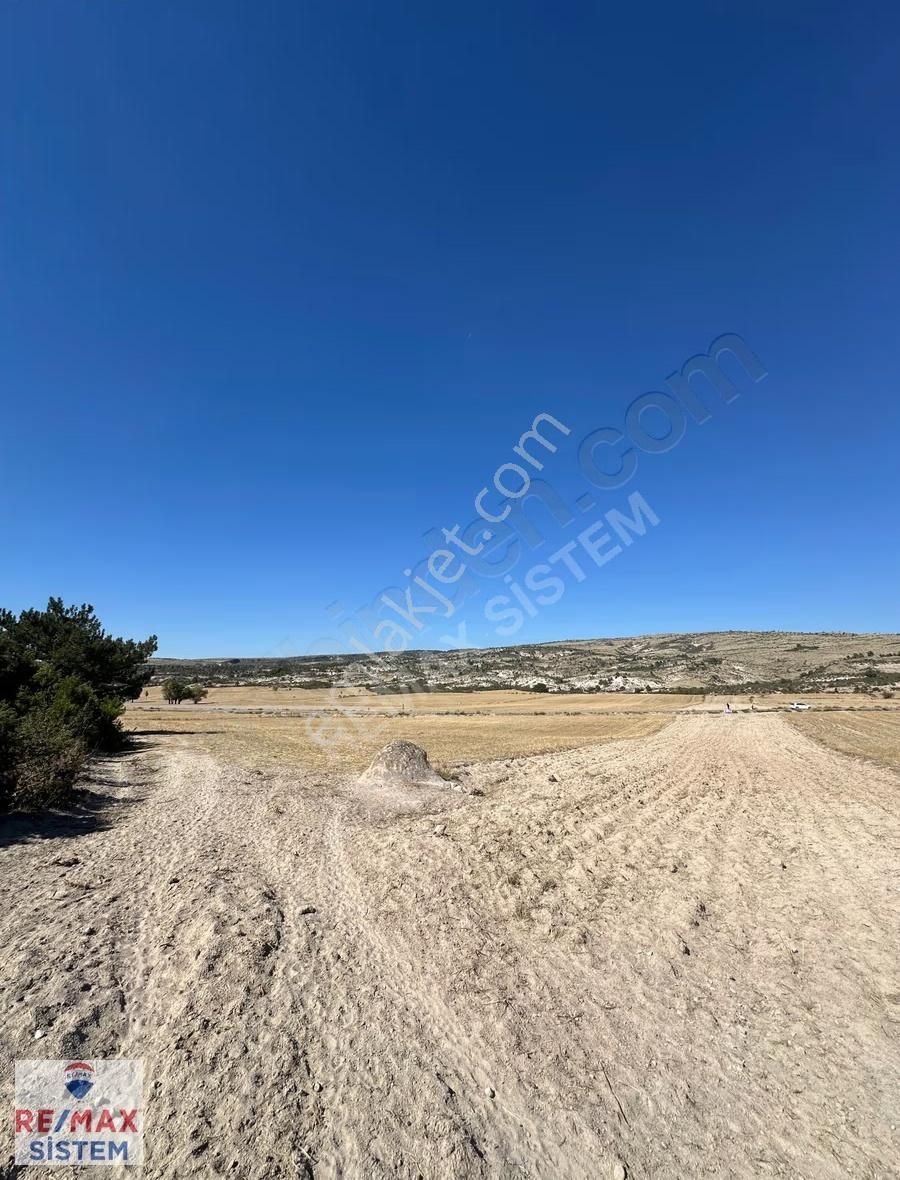 Frig Vadisi-emre Gölü-ana Cadde Döğer'de 3.100 M² Satılık Tarla - Görsel 6