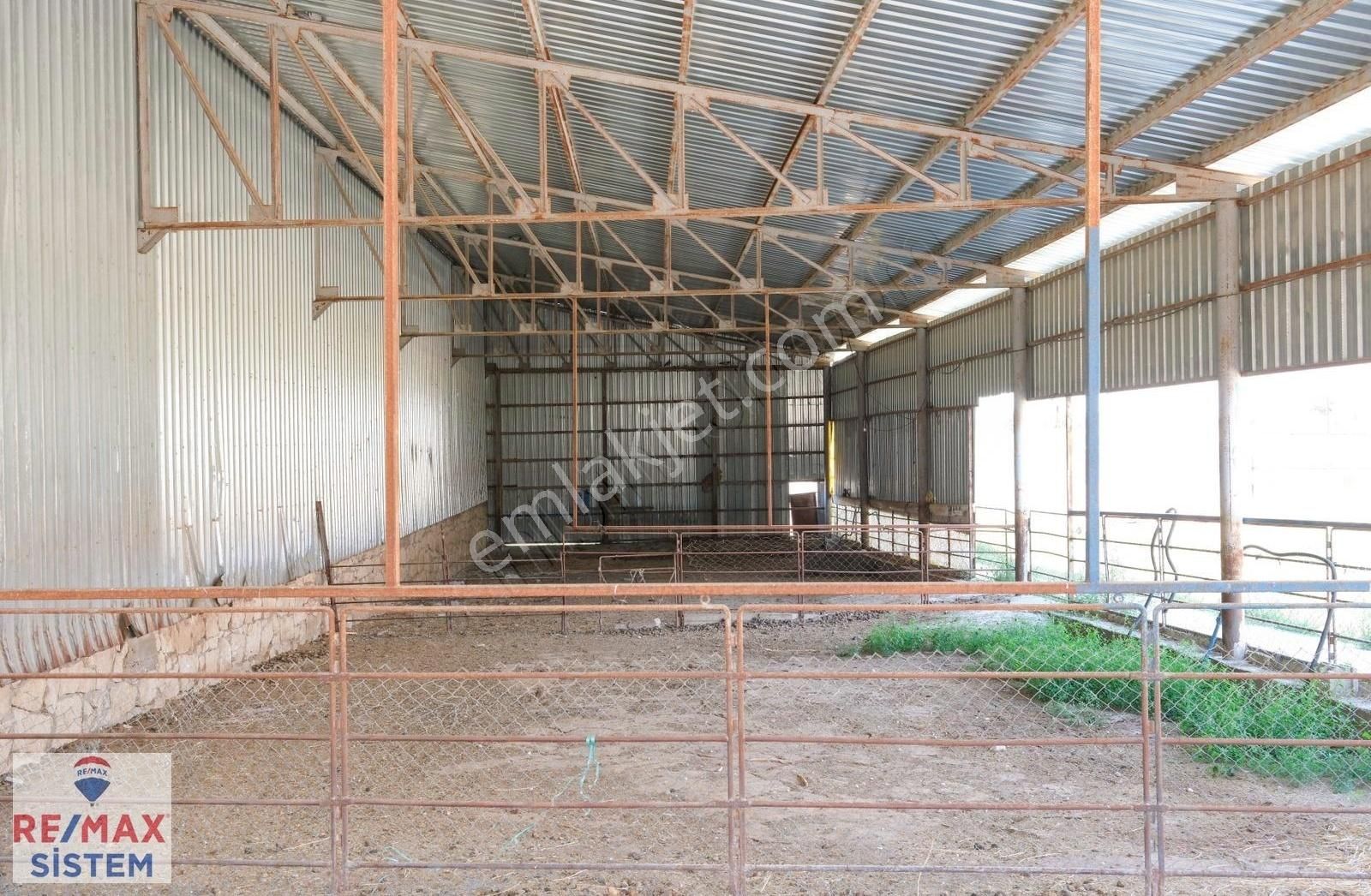 Afyon'da Ana Yola Yakın Hesaplı Kullanıma Hazır Satılık Çiftlik - Görsel 7