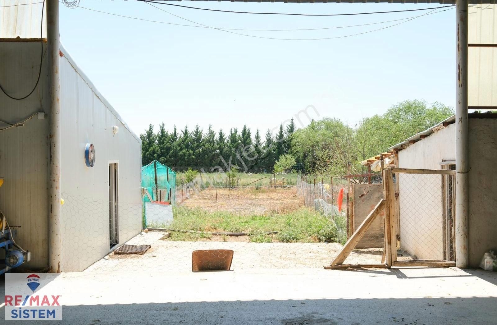 Afyon'da Ana Yola Yakın Hesaplı Kullanıma Hazır Satılık Çiftlik - Görsel 27